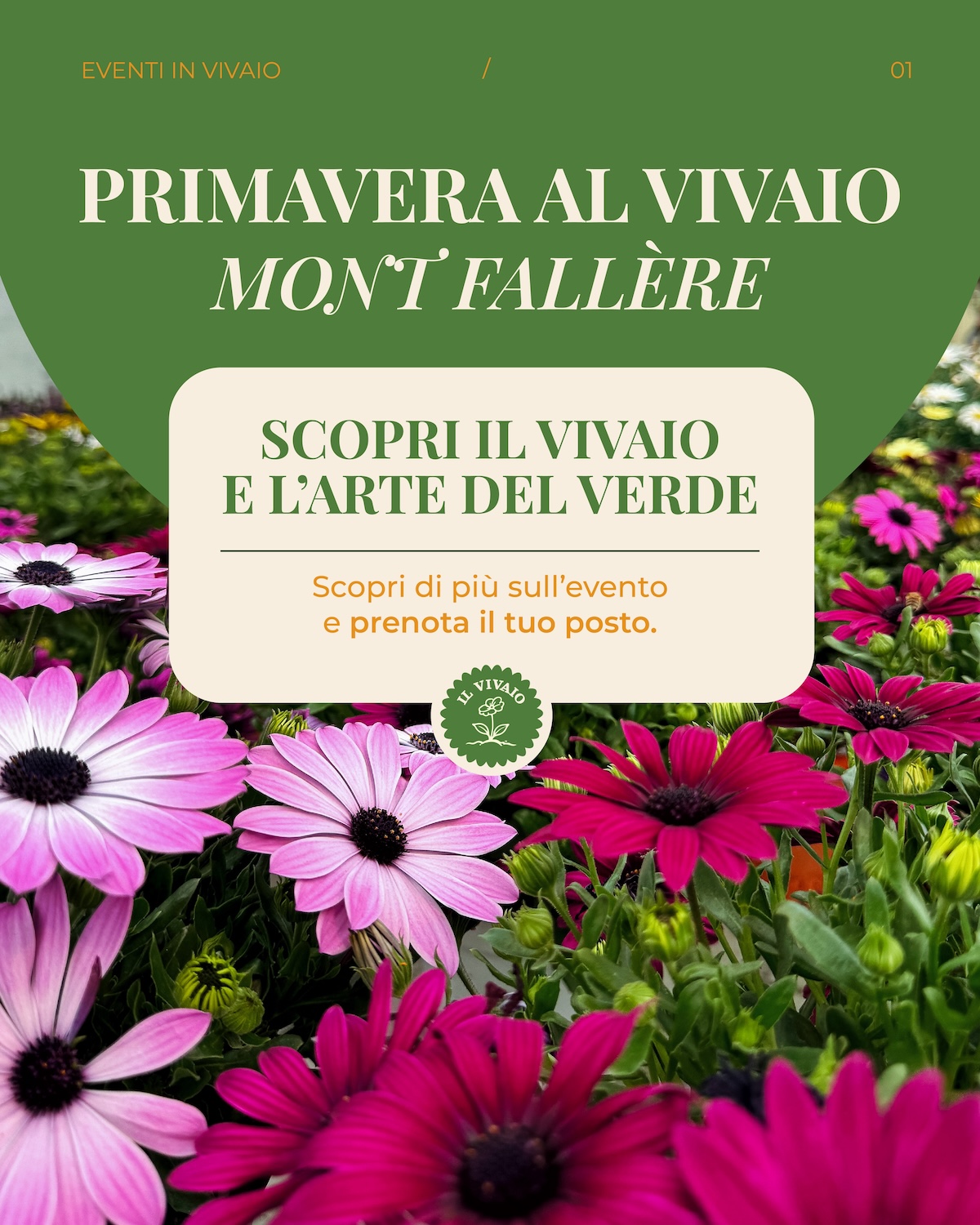 POST EVENTI MONT FALLERE POST