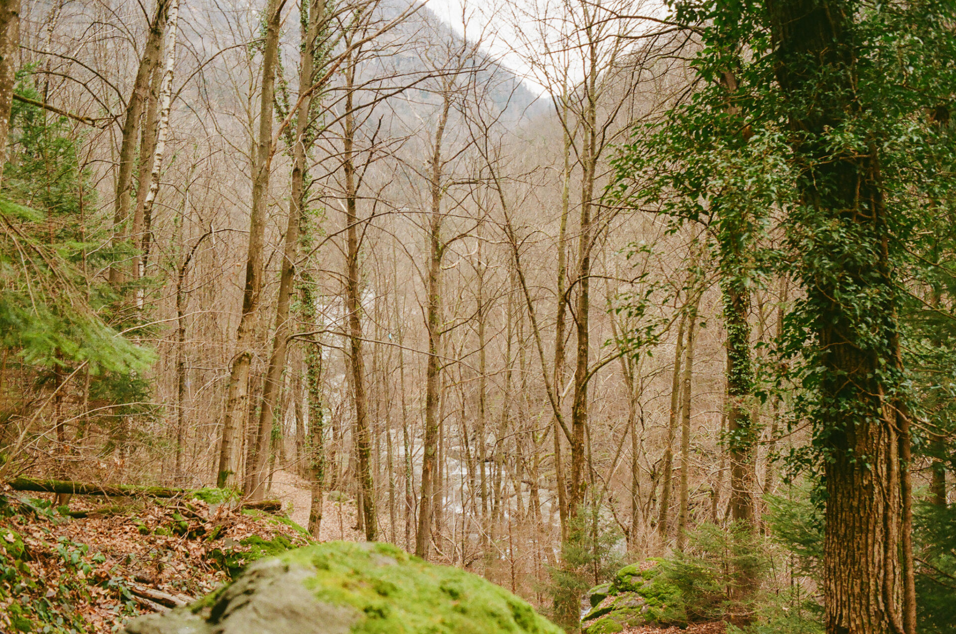 pontboset @luca benedet