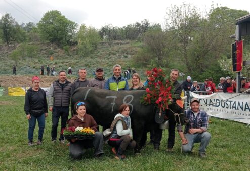 Batailles, a Jovençan la metà delle qualificate è “local”, ma le reines arrivano da Gressan e Saint-Christophe
