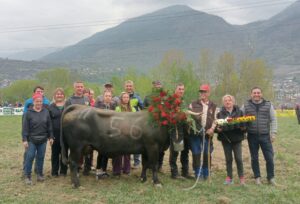 Prima qualificazione per Tigre di Alfreda Tillier, la migliore nel secondo peso
