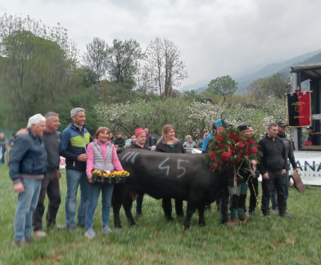 La reina di terza categoria è Euforie de La Borettaz, che ha distrutto le resistenze delle reines dei fratelli Quendoz