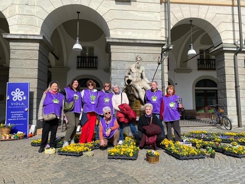 Associazione VIOLA le violette di Marzo