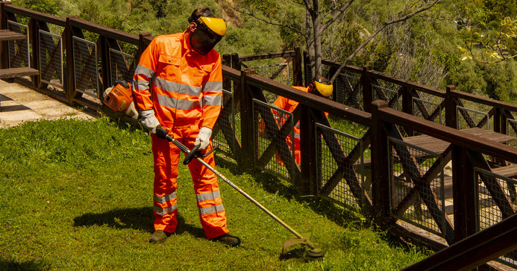 Ecogest Ricerca collaboratori