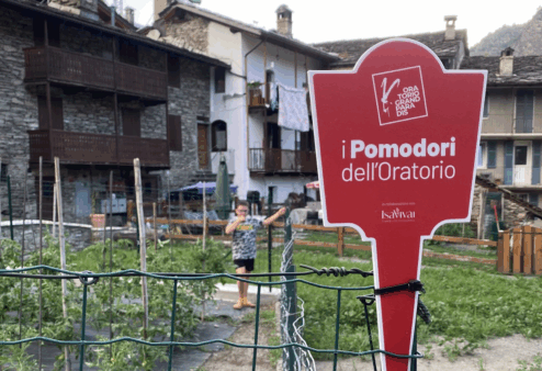 Torna l’iniziativa “I pomodori dell’Oratorio” nelle parrocchie del Grand Paradis