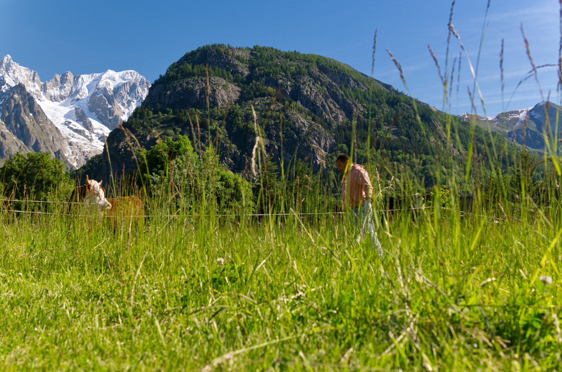 SF CUT Courmayeur