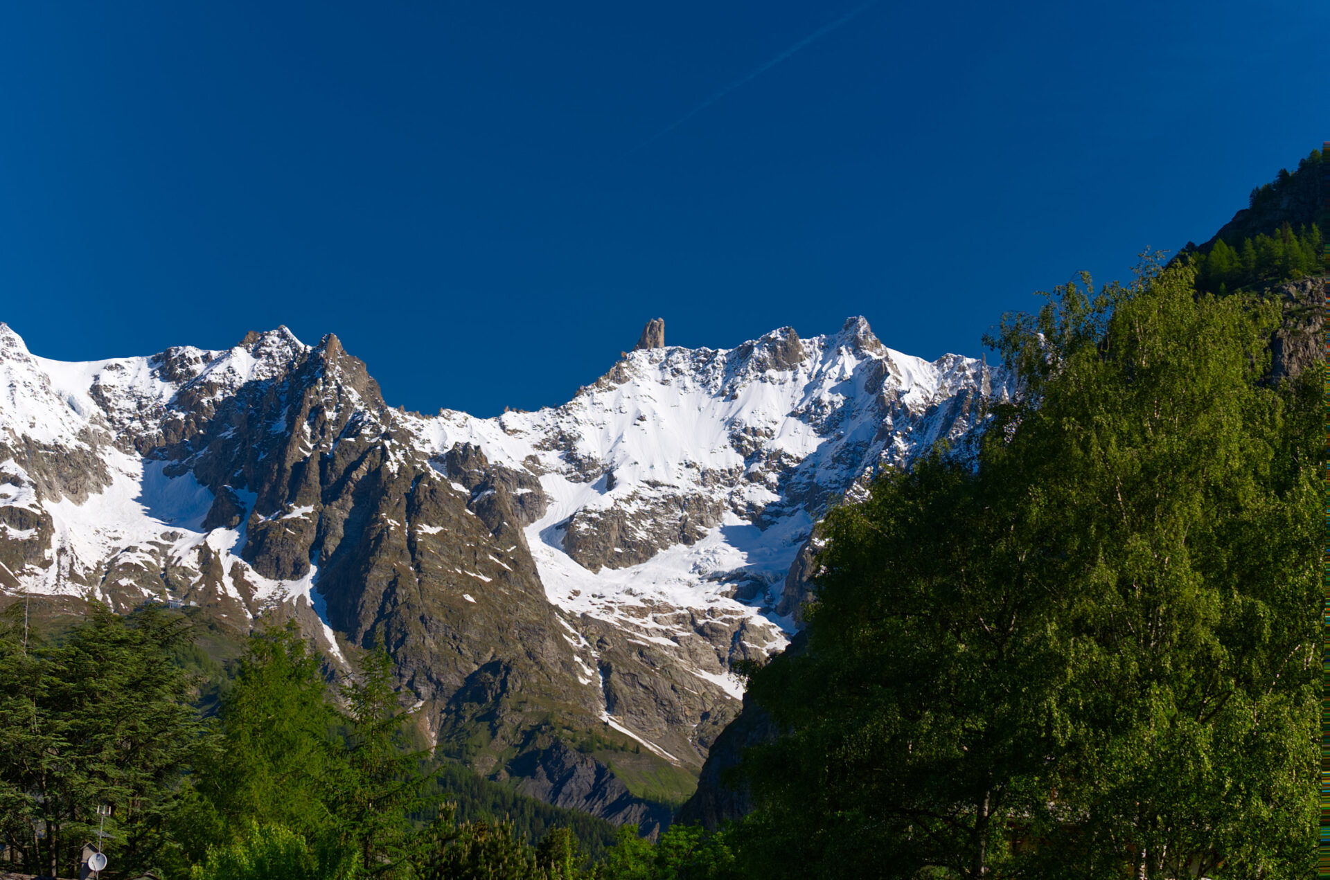SF CUT Courmayeur