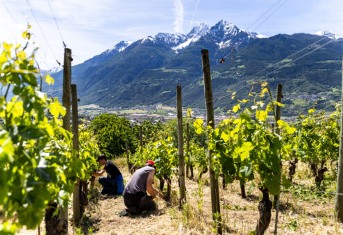 Ad Arvier nasce il primo hub della montagna tra mestieri, innovazione e futuro sostenibile: NextAlpine