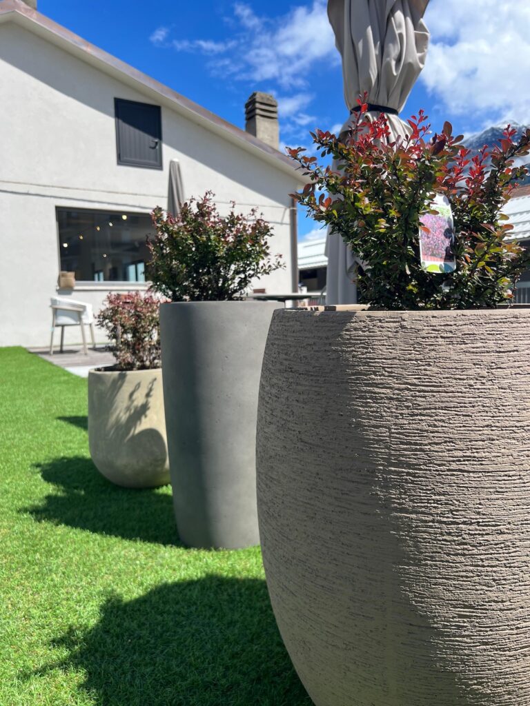 Expo Garden, Edilaosta