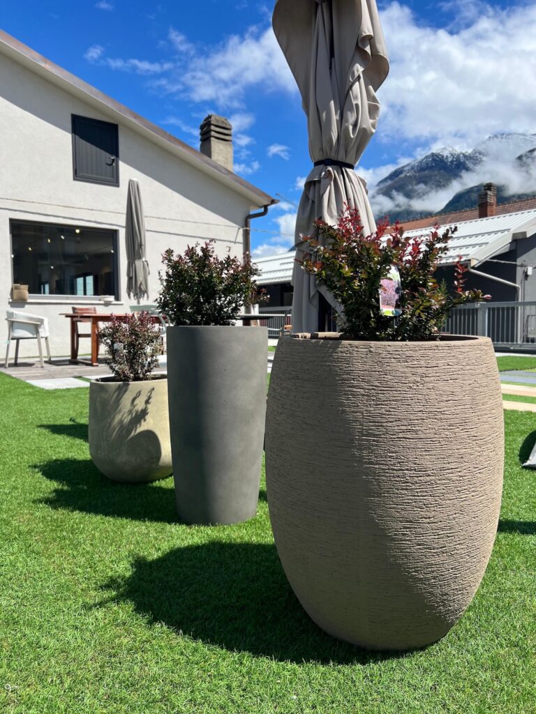 Expo Garden, Edilaosta