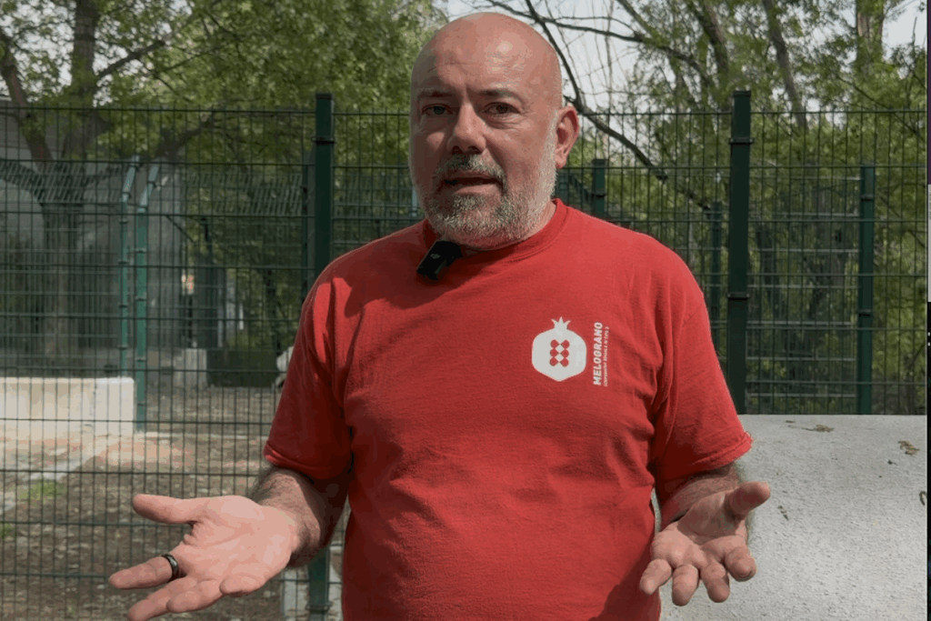 Emanuele Novembre canile e gattile regionale