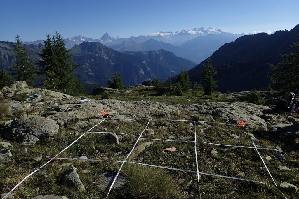 Un'immagine del sito di rilevazione "Gloria" per gli arbusti - Foto Arpa VdA
