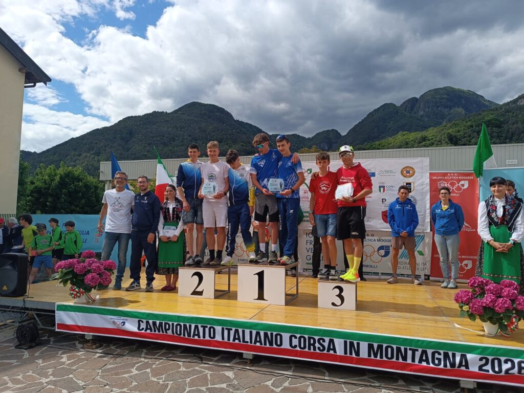 Pivot Mortara