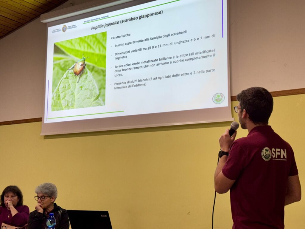 Incontro sulla scarabeo giapponese - Relatore Eric Grange