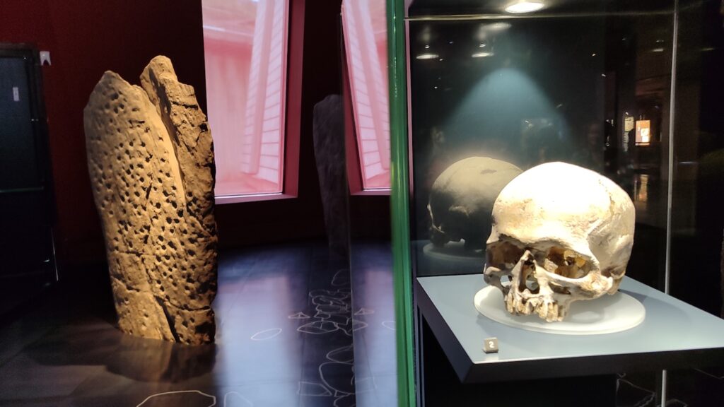 Ricostruzione volto uomo età del rame megamuseo aosta