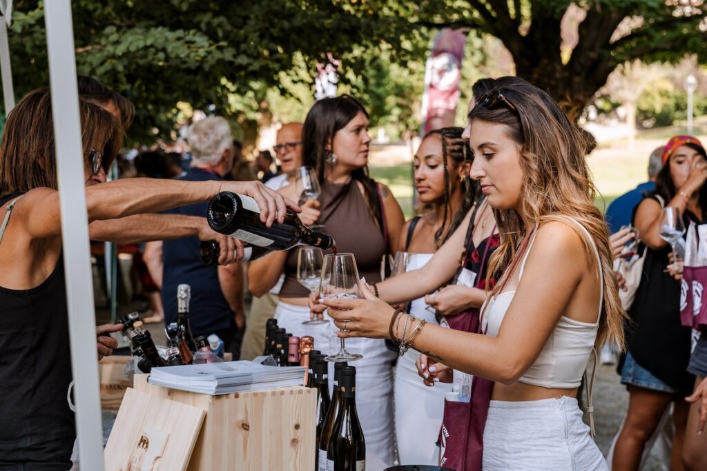 vini in vigna