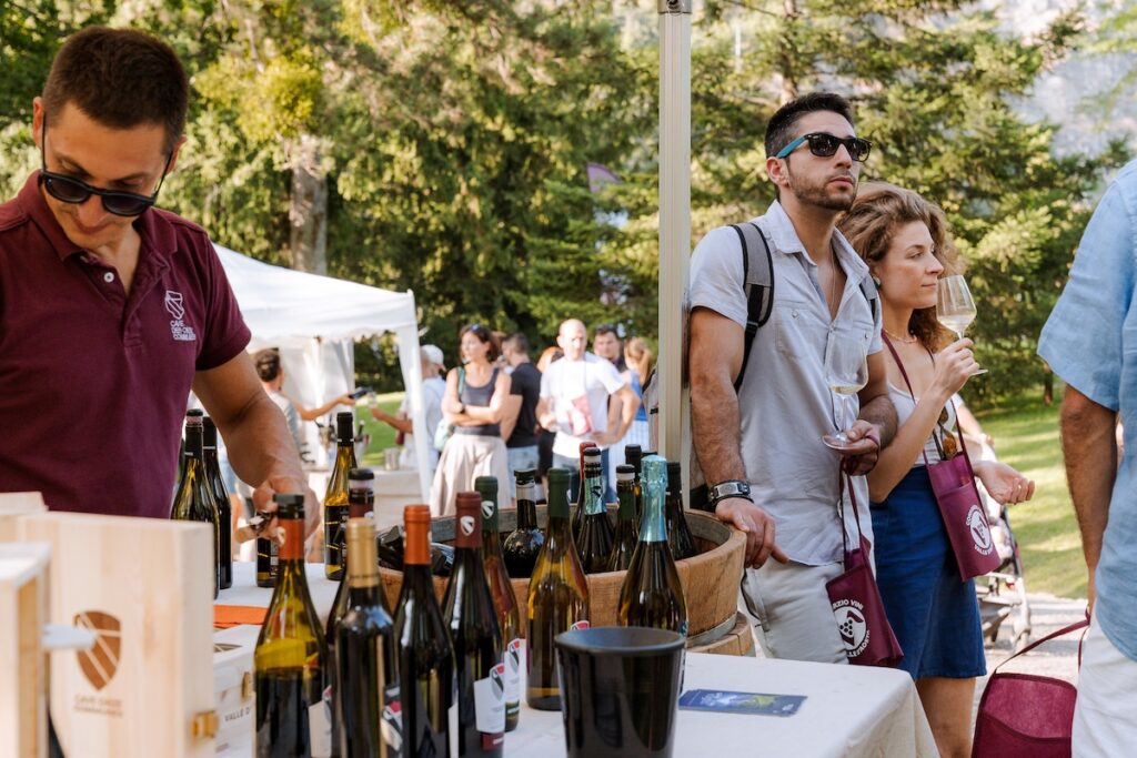 vini in vigna