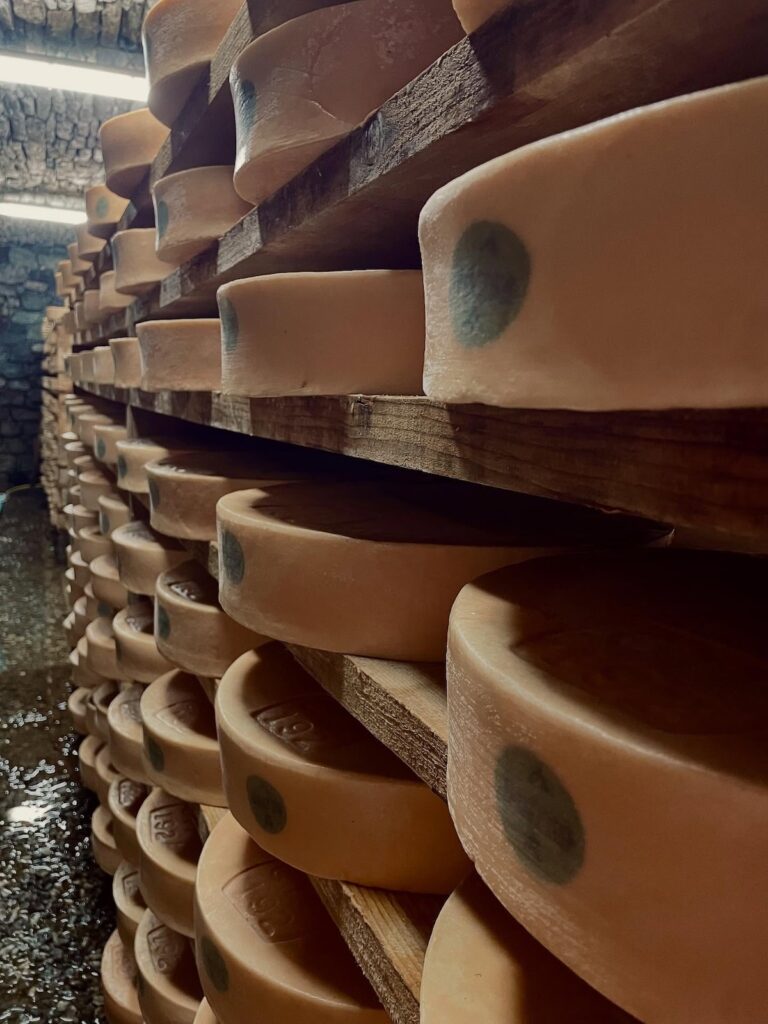 Cofruits - Fontina