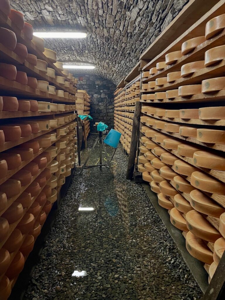 Cofruits - Fontine à Fontina