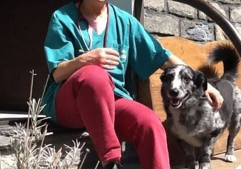 Addio ad Anna Cane Visconti, prima veterinaria iscritta all’Albo valdostano