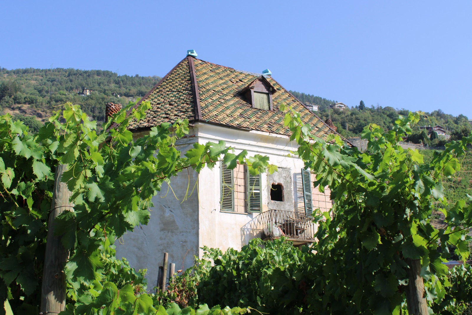 Casa delle vigne