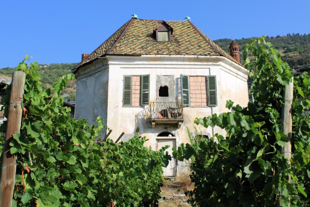 Casa delle vigne