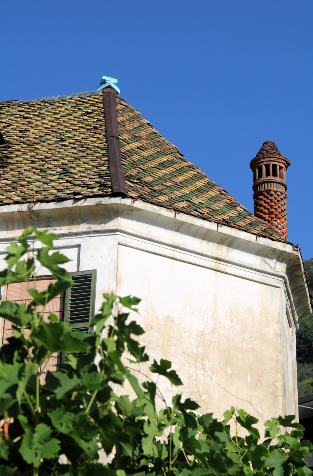 Casa delle vigne