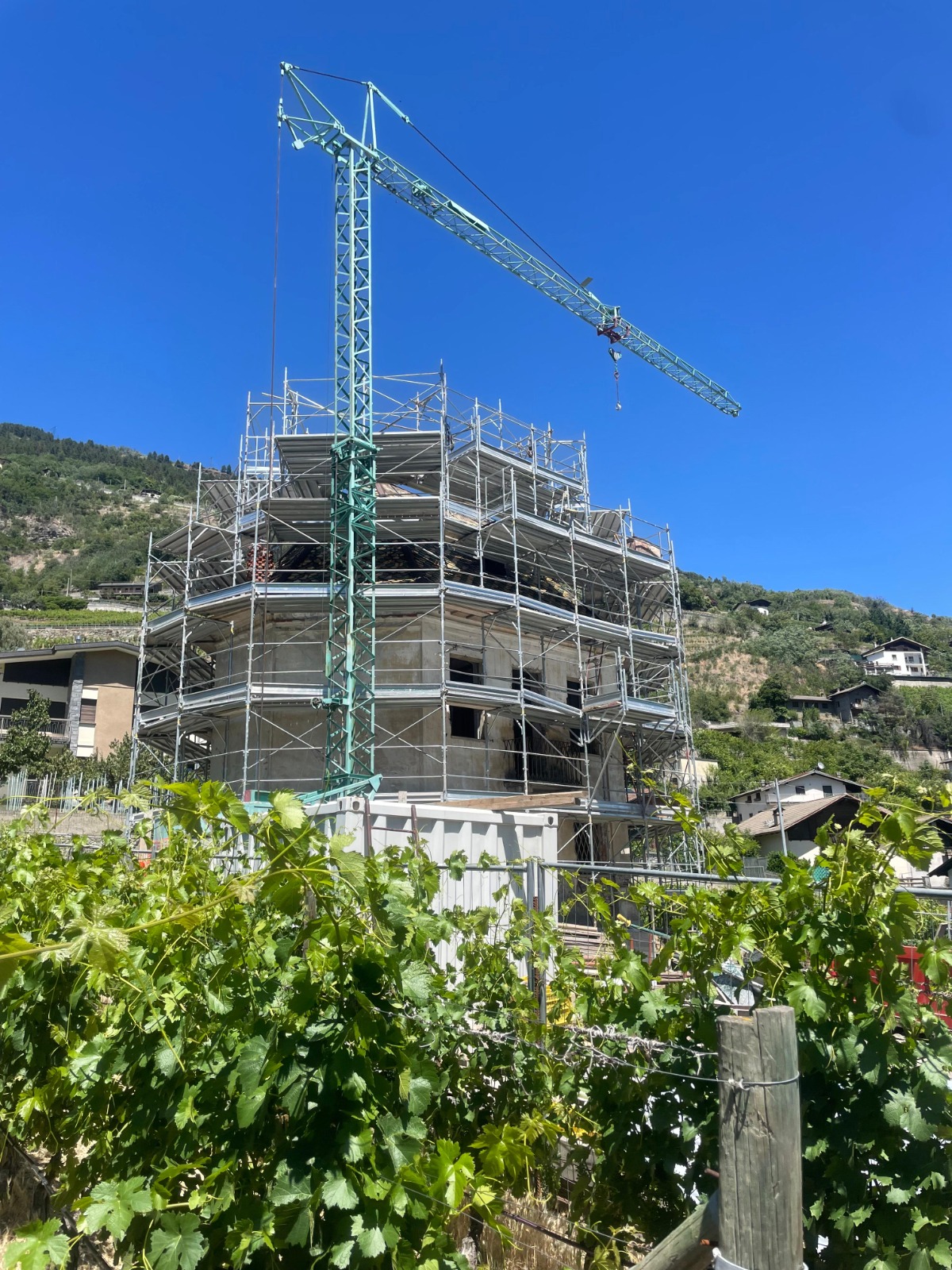 Casa delle vigne