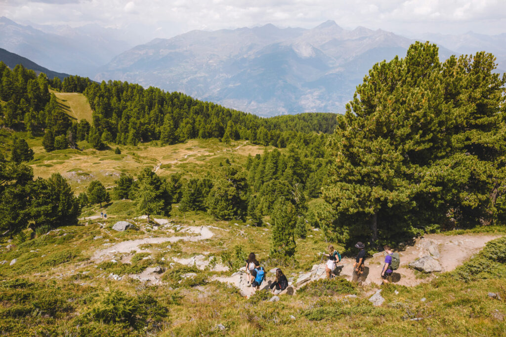 Pila Trekking ()