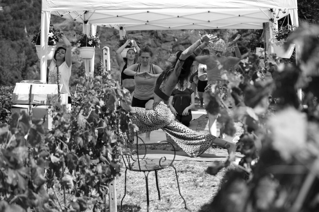 VinTage vini eventi