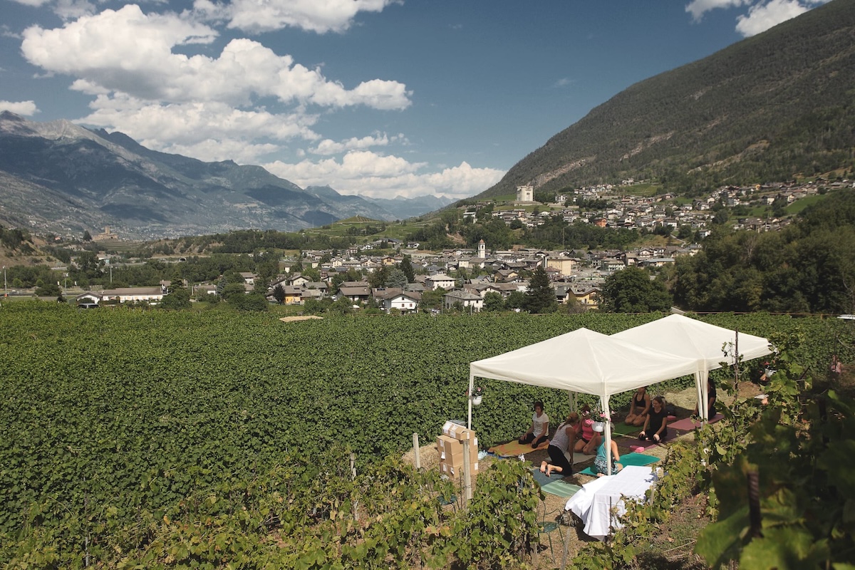 VinTage vini eventi