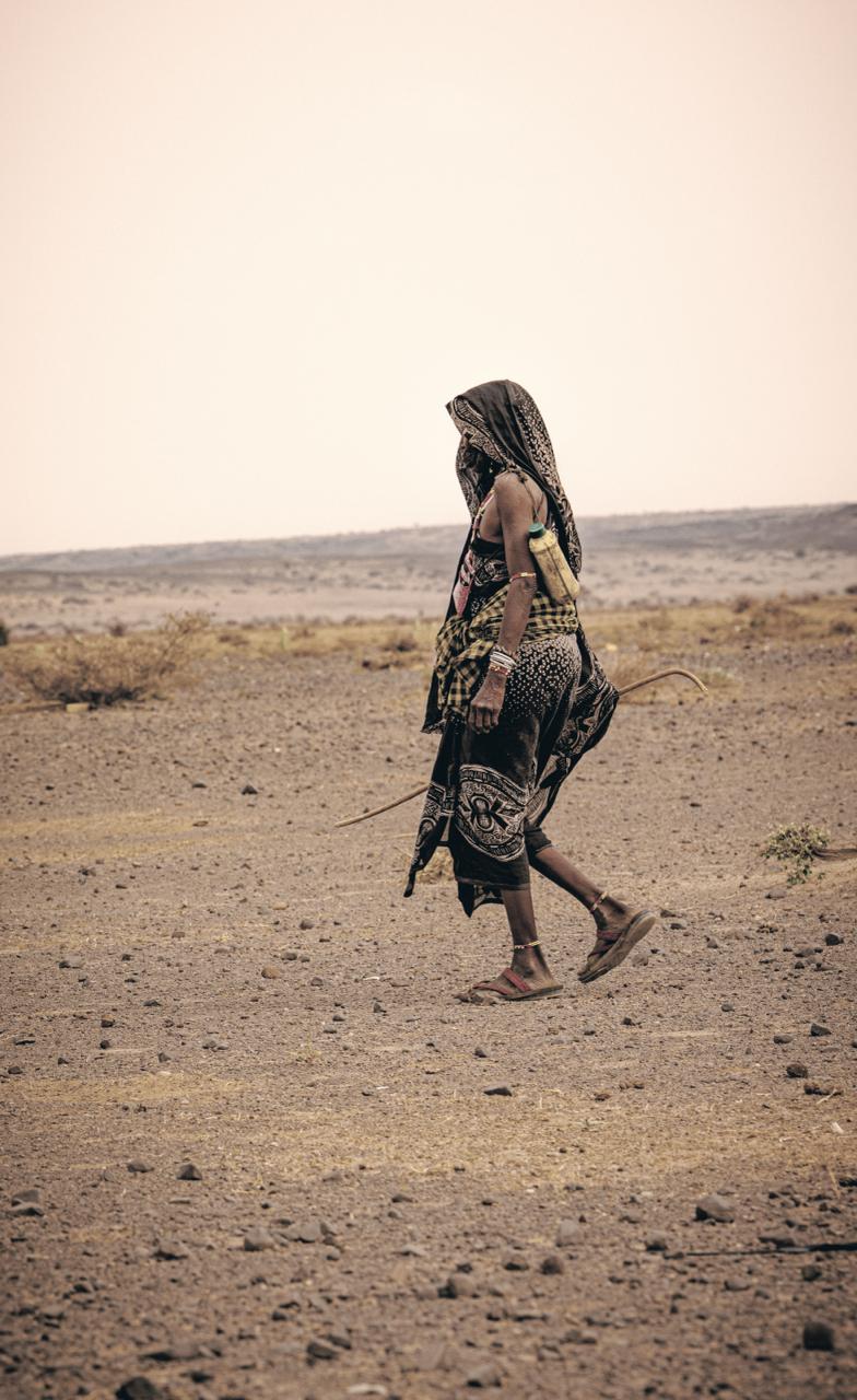 Barren lands