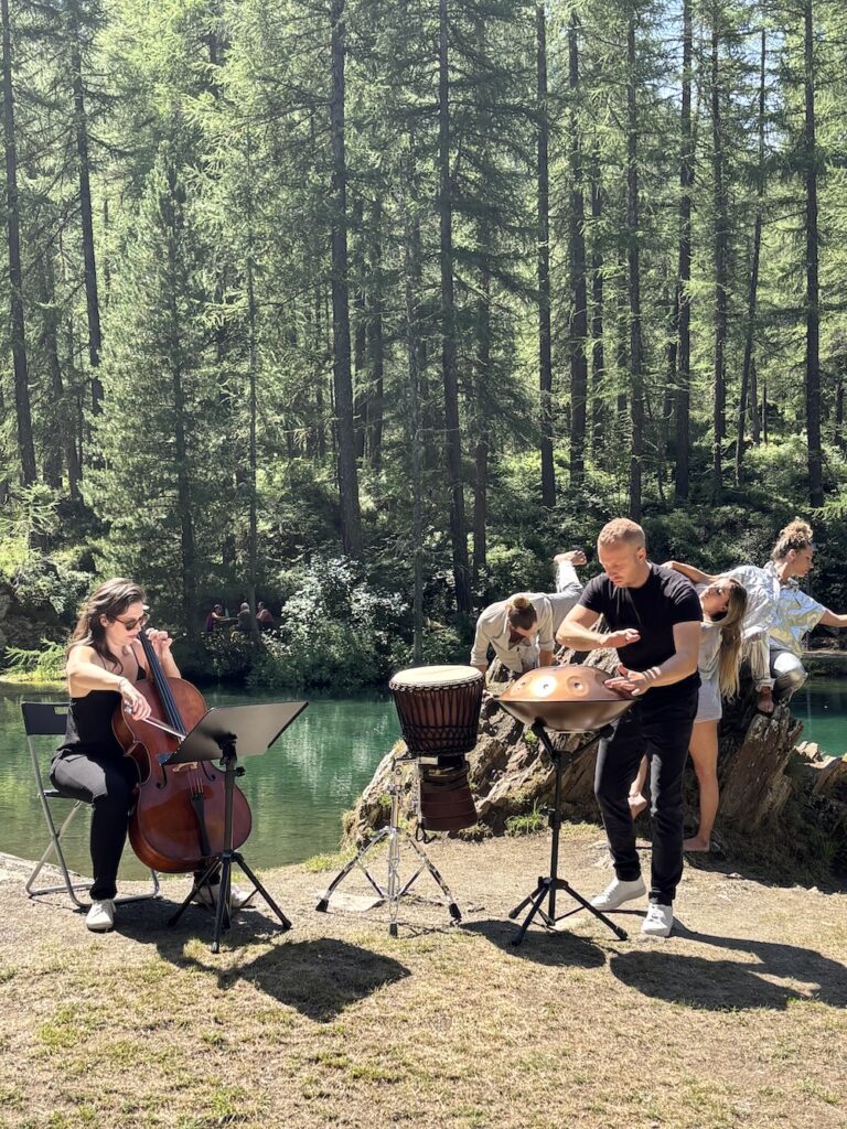 DislocActions le marmotte non dormono