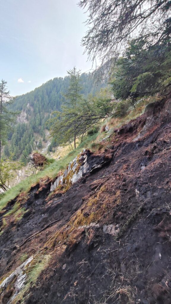 Incendio Val d