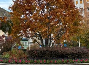 Verde pubblico Aosta