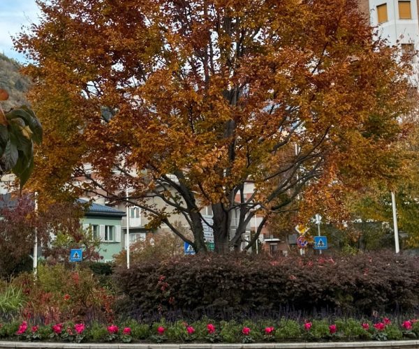 Verde pubblico Aosta