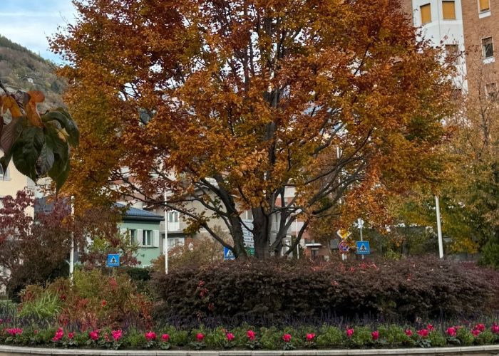 Verde pubblico Aosta