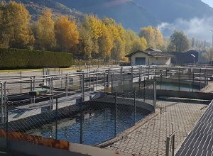 stabilimento ittico morgex vasche