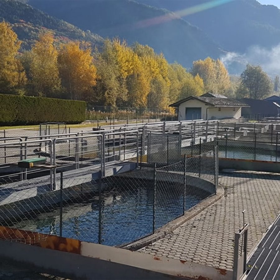 stabilimento ittico morgex vasche