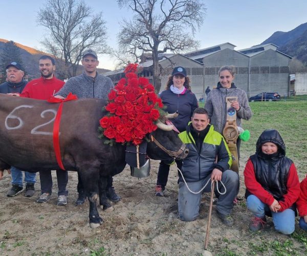 Rudy Baravex premiato per la vittoria di Strega: la reina di primo peso aveva già vinto a Etroubles nel 2023