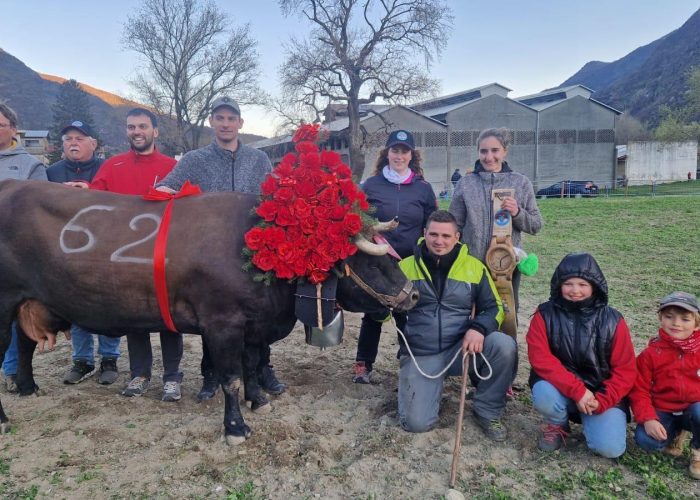 Rudy Baravex premiato per la vittoria di Strega: la reina di primo peso aveva già vinto a Etroubles nel 2023