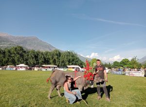 Stefano Charrier ha presentato alla Grand Place la sua Negrò, una delle regine più forti ammirate negli ultimi anni: oggi l’ennesimo successo a Pollein