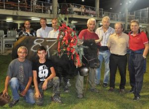 Lionne dei Fratelli Savioz di Aymavilles