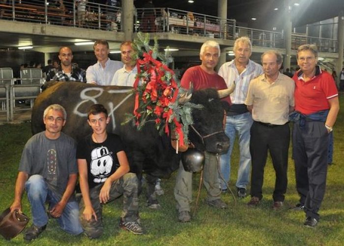 Lionne dei Fratelli Savioz di Aymavilles