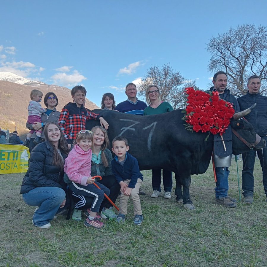 Miccia di Joel Follin ha vinto il concorso di primo peso