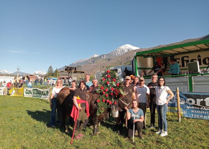 La festa per Berleun di Gianni e Michela Champion, regina in patria in prima categoria: la bovina era stata terza nel concorso del Deuxième Veau nel 2024