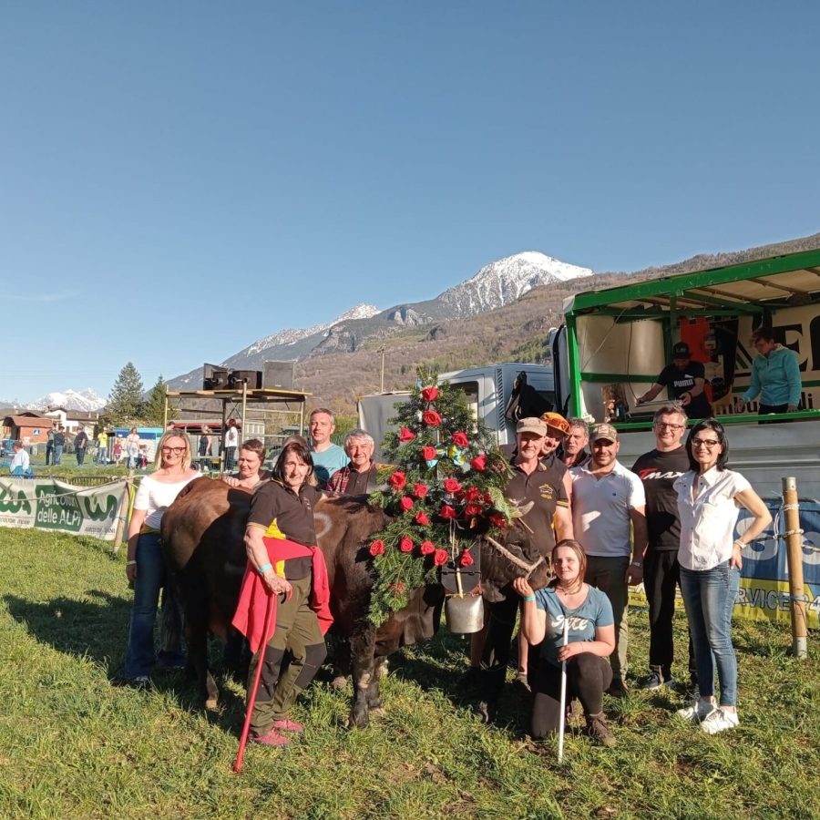 La festa per Berleun di Gianni e Michela Champion, regina in patria in prima categoria: la bovina era stata terza nel concorso del Deuxième Veau nel 2024
