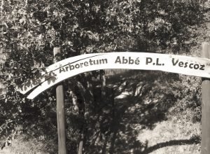 Arboretum Vescoz