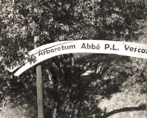 Arboretum Vescoz
