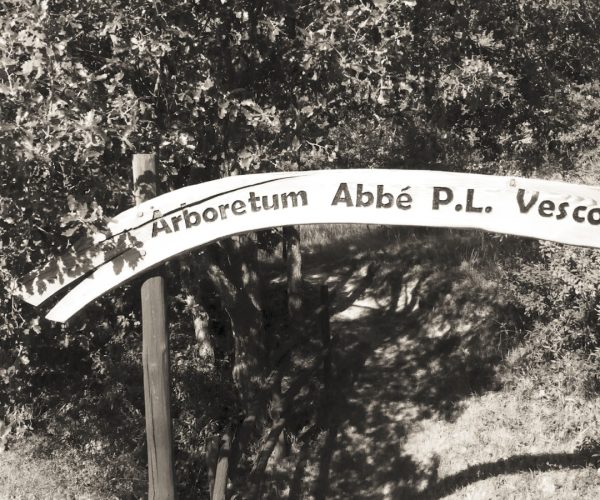 Arboretum Vescoz