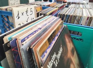 Mostra mercato del disco Parc Chavonne 2015